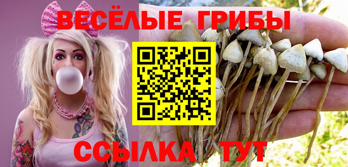 Галлюциногенные грибы ЛСД  Псилоцибиновые грибы Cubensis  Вход с VPN  Когалым 