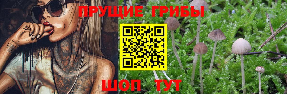 Галлюциногенные грибы GOLDEN TEACHER Когалым
